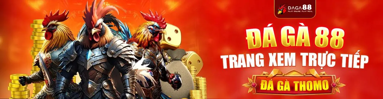 Tầm nhìn tương lai và sự phát triển của XXWIN